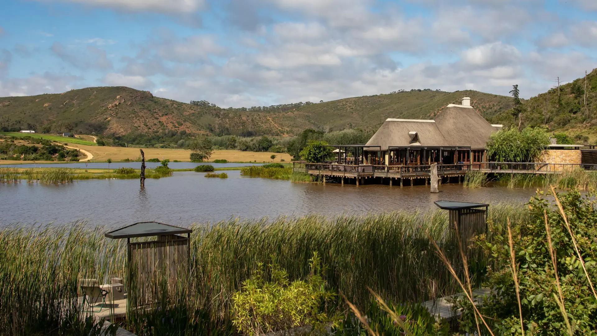 Luxury Safari