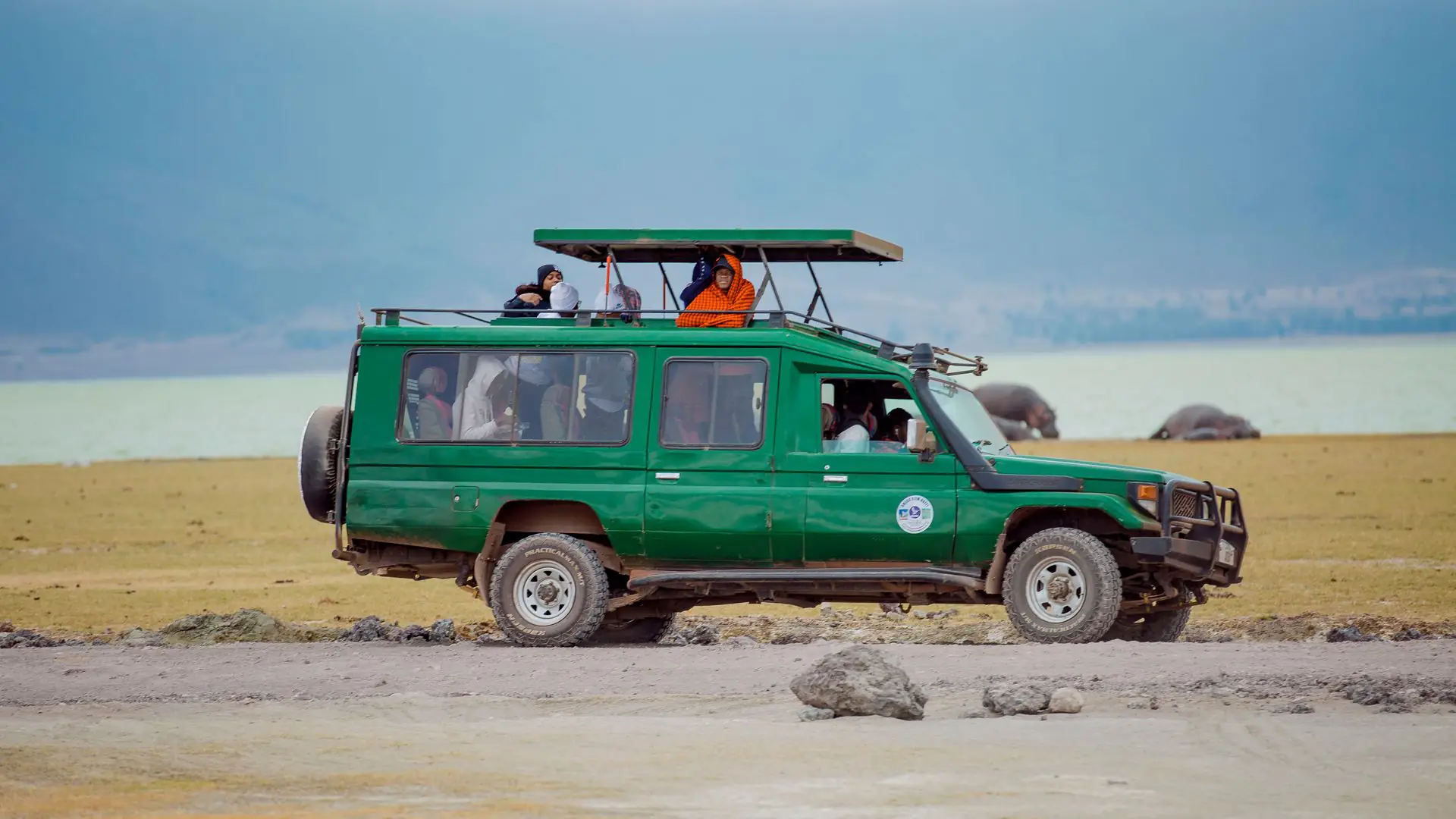 Small-Group Safari