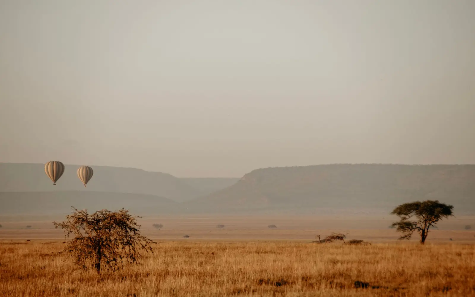 Hot-Air Balloon Safari
