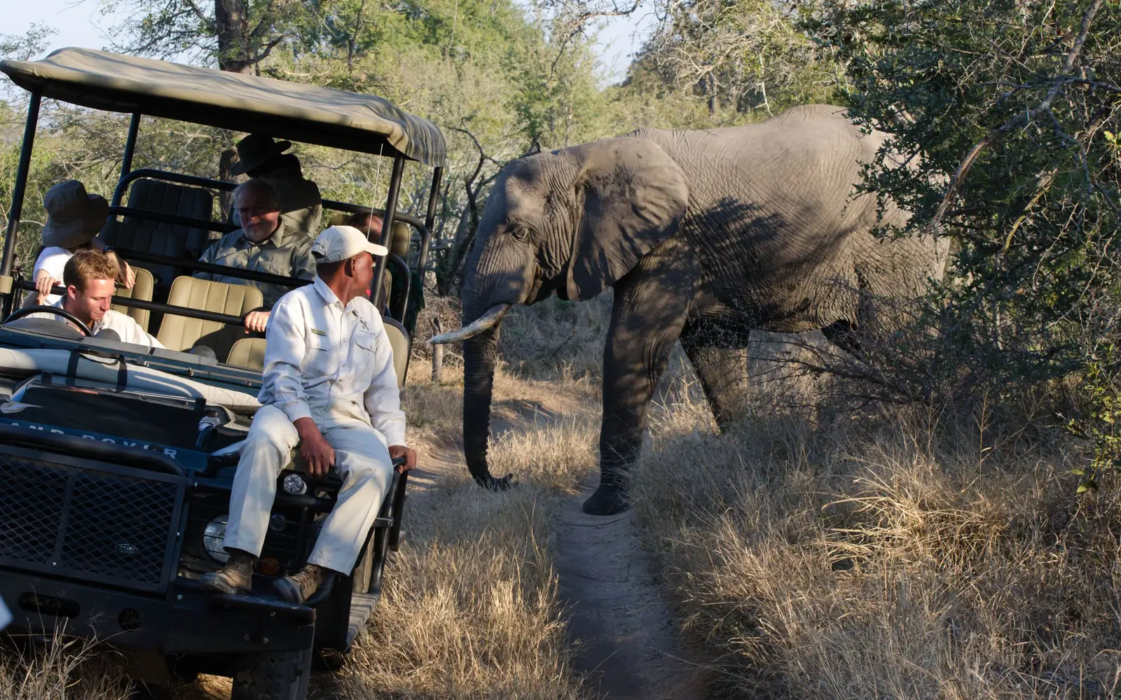 A patient wait for the perfect frame — Ndutu, southern Serengeti