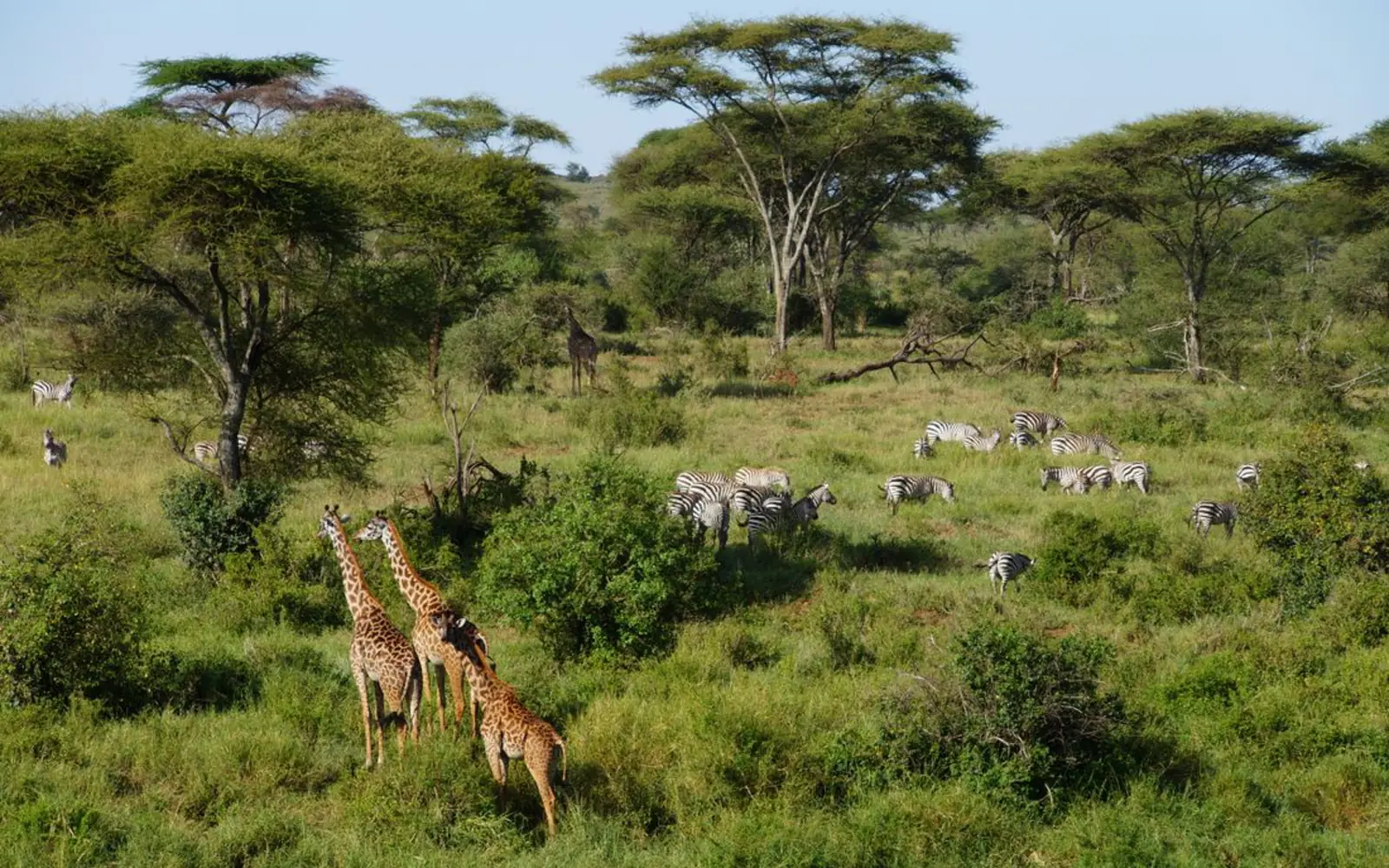 Arusha National Park