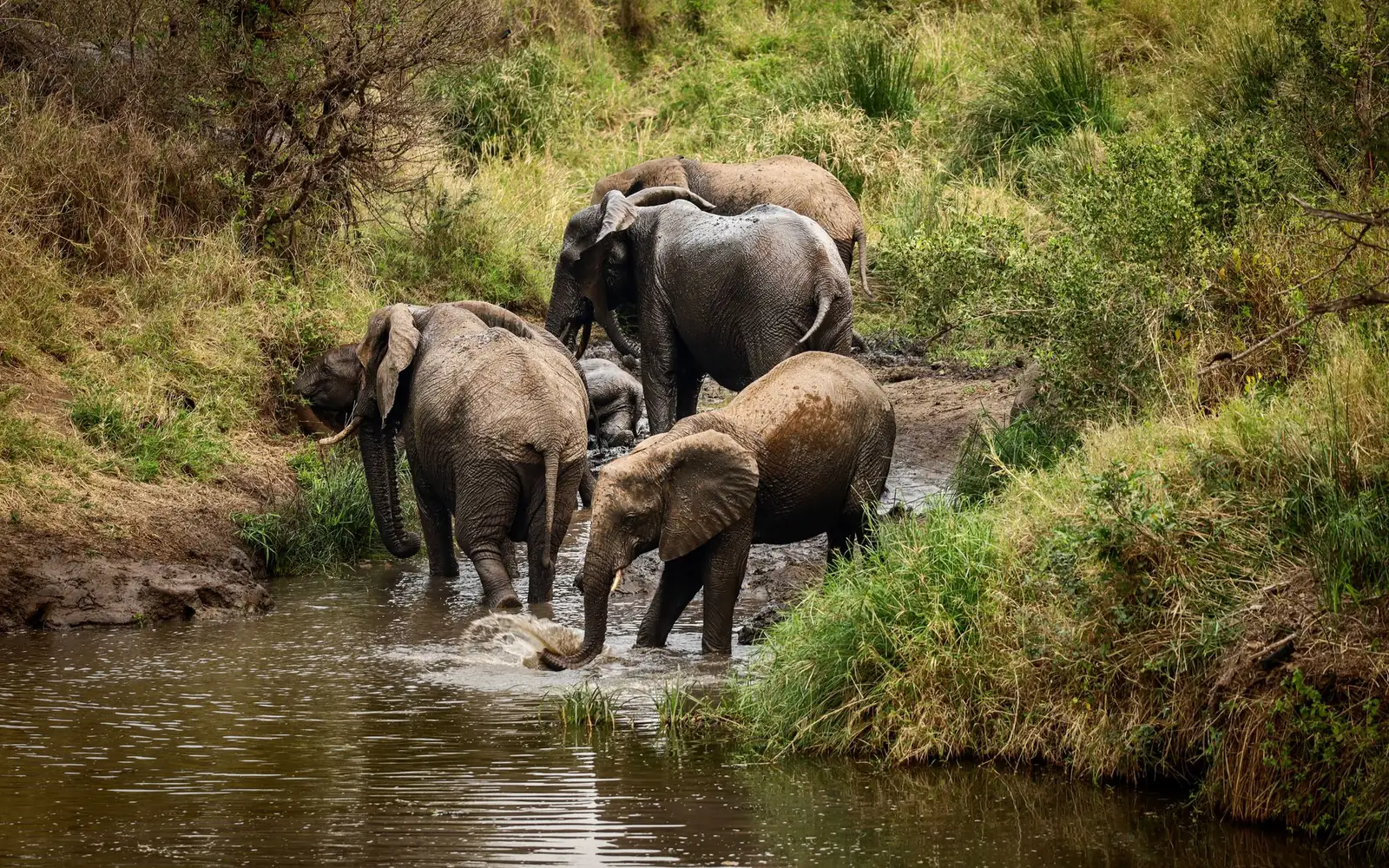 Ibanda-Kyerwa National Park