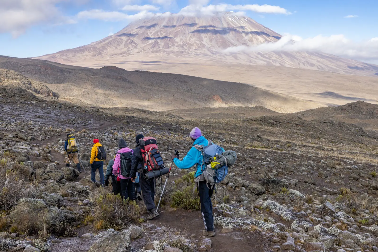 Kilimanjaro National Park — photo 1