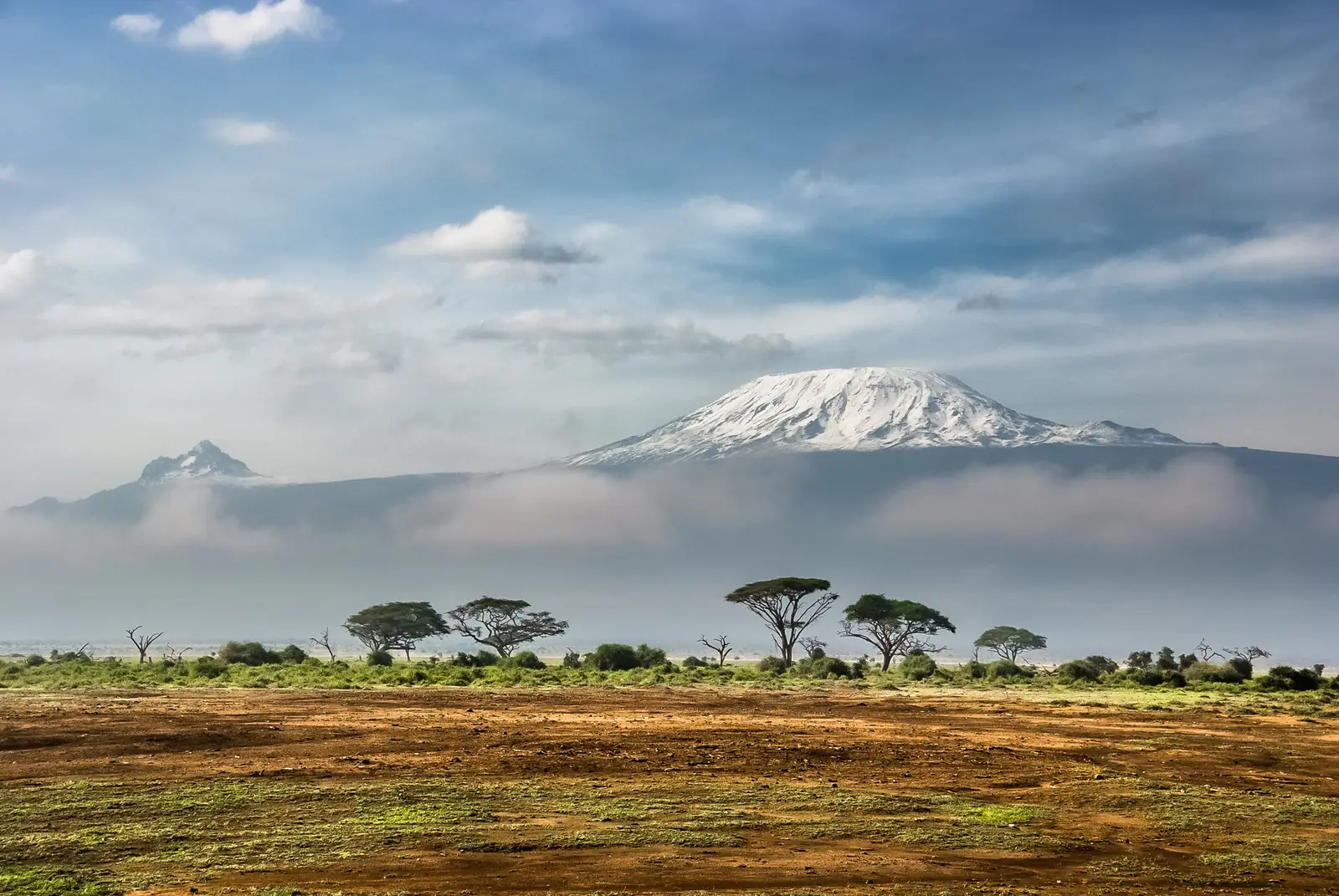 Kilimanjaro National Park — photo 2