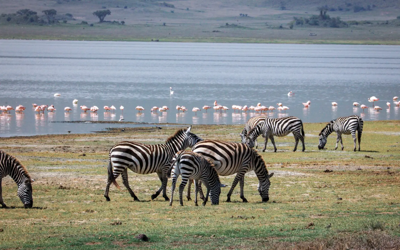 Lake Manyara National Park