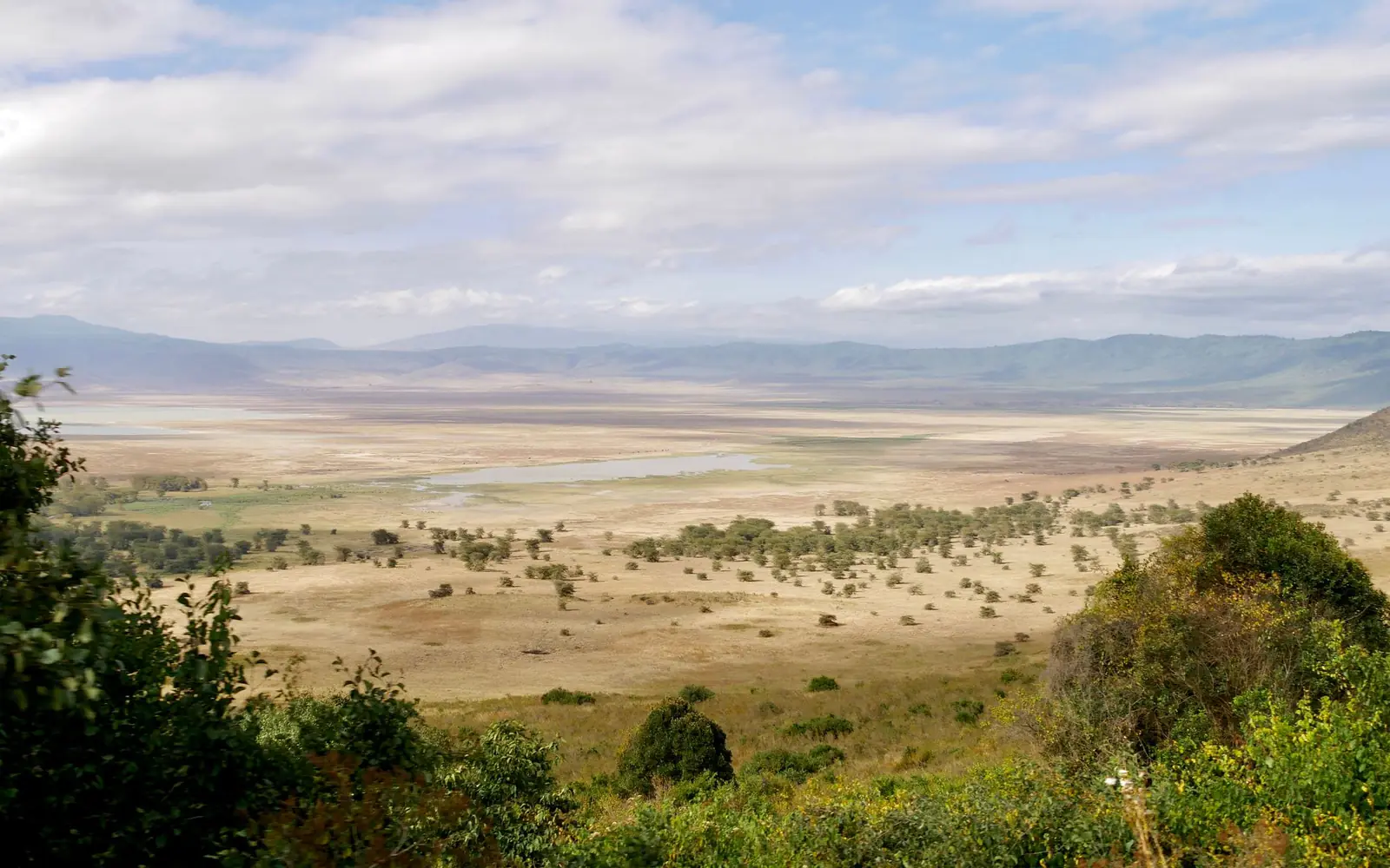 Ngorongoro Conservation Area