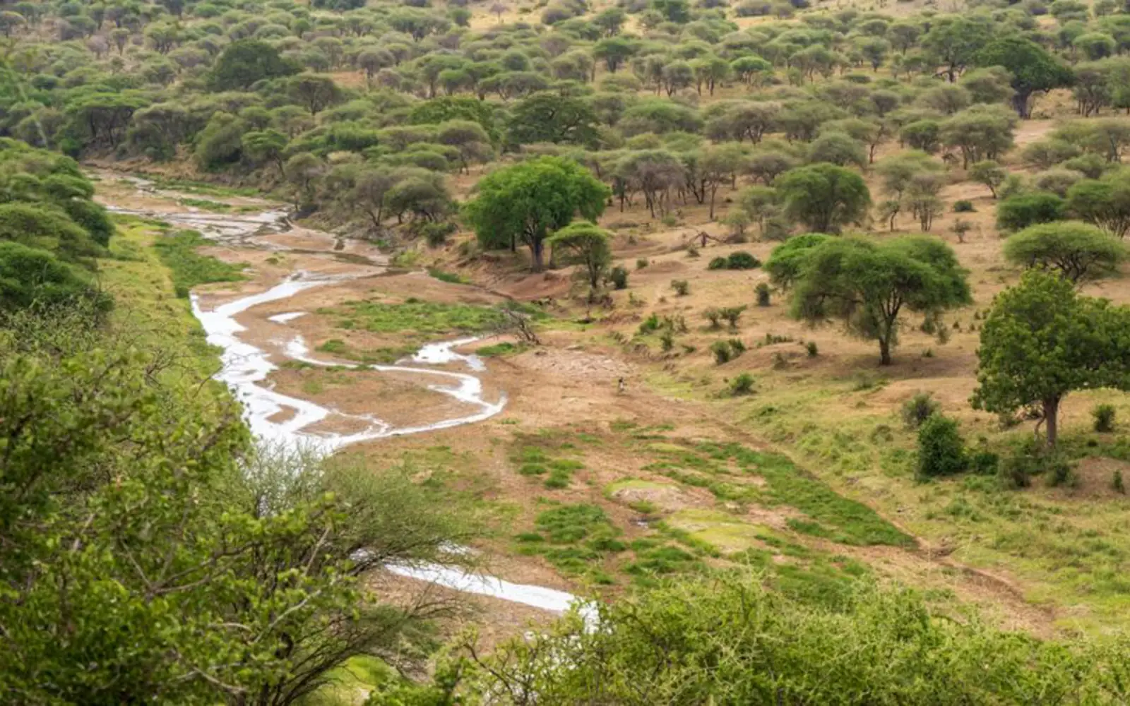 Nyerere National Park