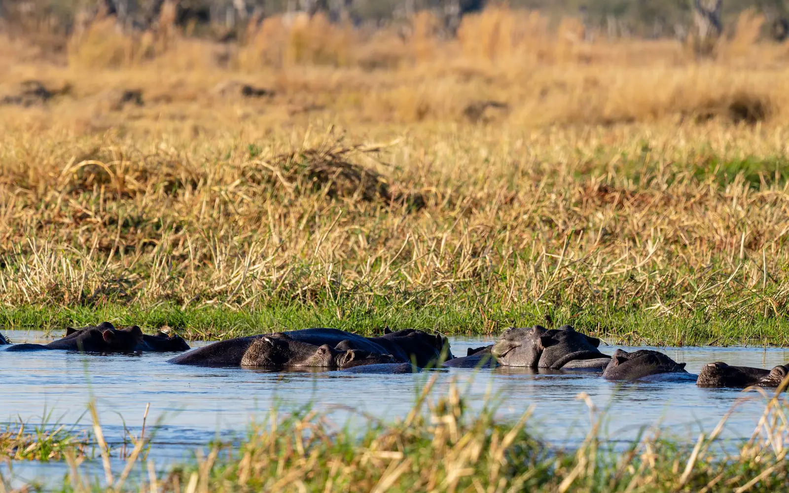 Rumanyika-Karagwe National Park