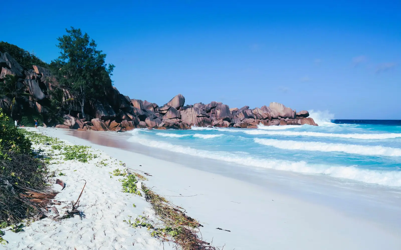 Saadani National Park