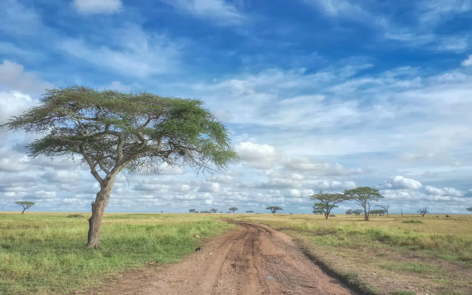 Serengeti National Park