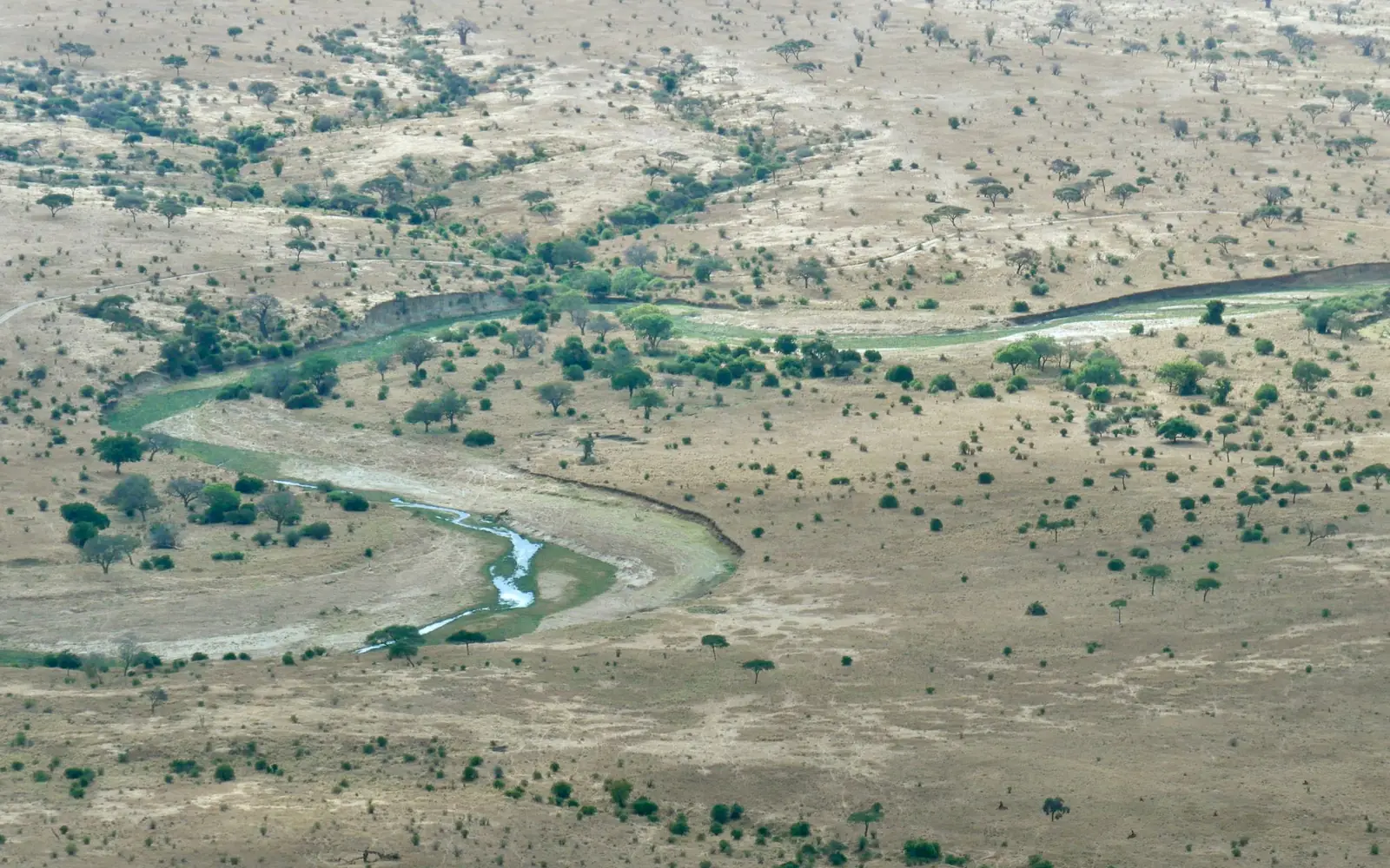 Ugalla River National Park