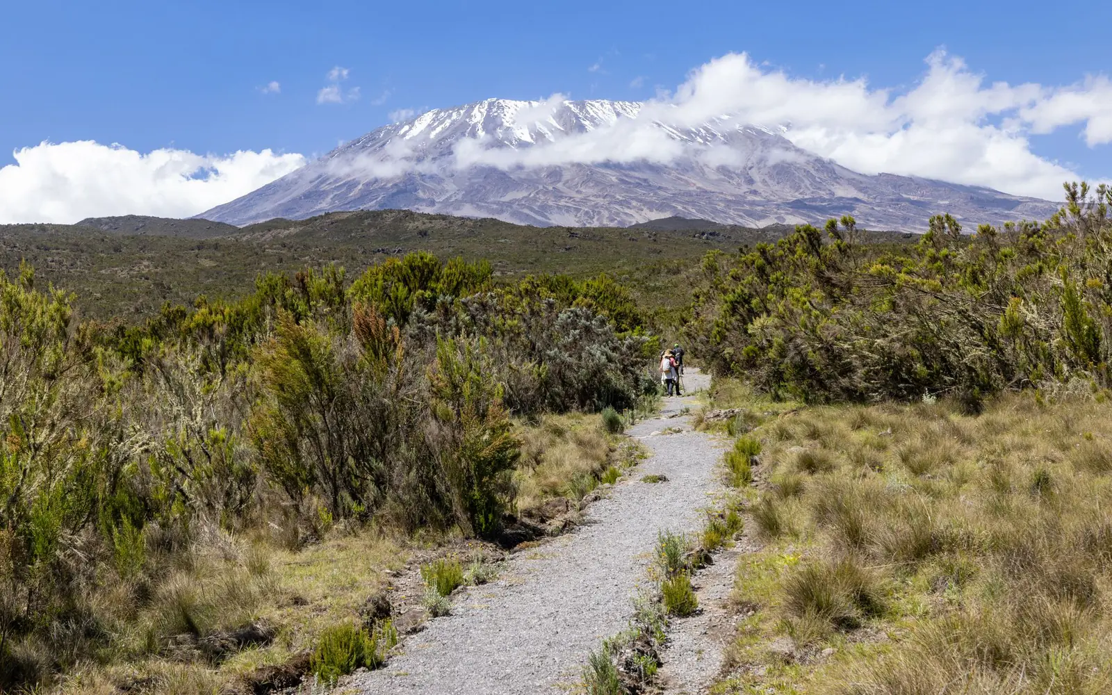 5-Day Marangu Route Kilimanjaro Climb