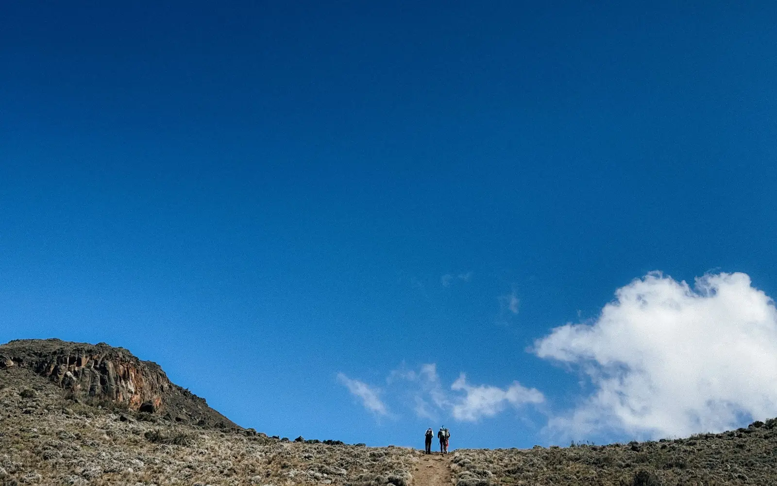 9-Day Kilimanjaro Climb — Northern Circuit