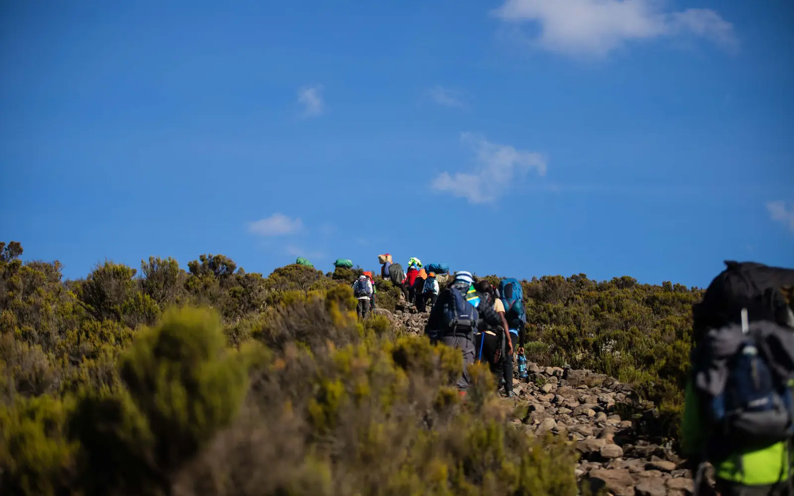 6-Day Kilimanjaro Climb — Umbwe Route