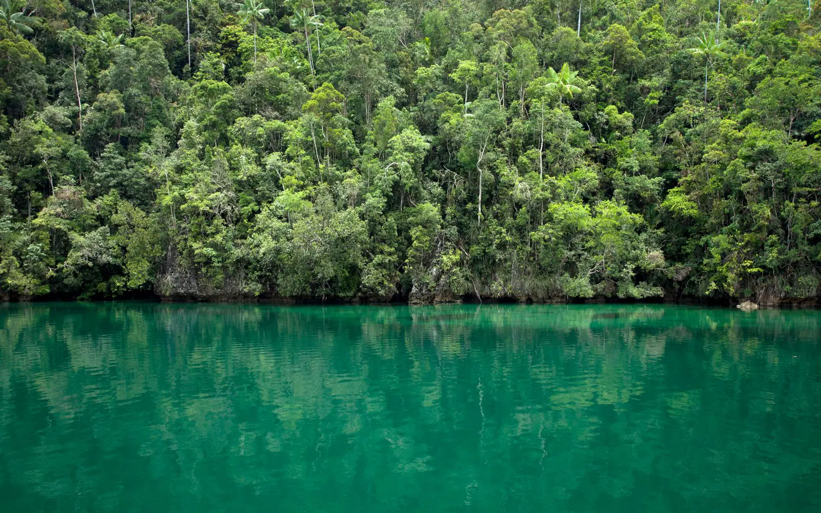Magoroto Forest Retreat — 3 Days