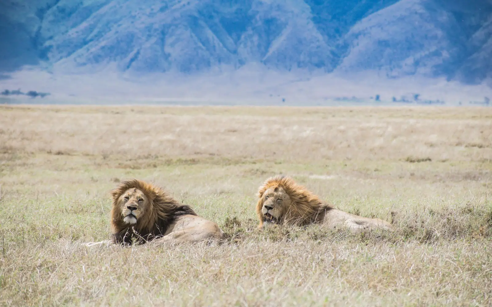 7-Day Classic Northern Circuit Safari