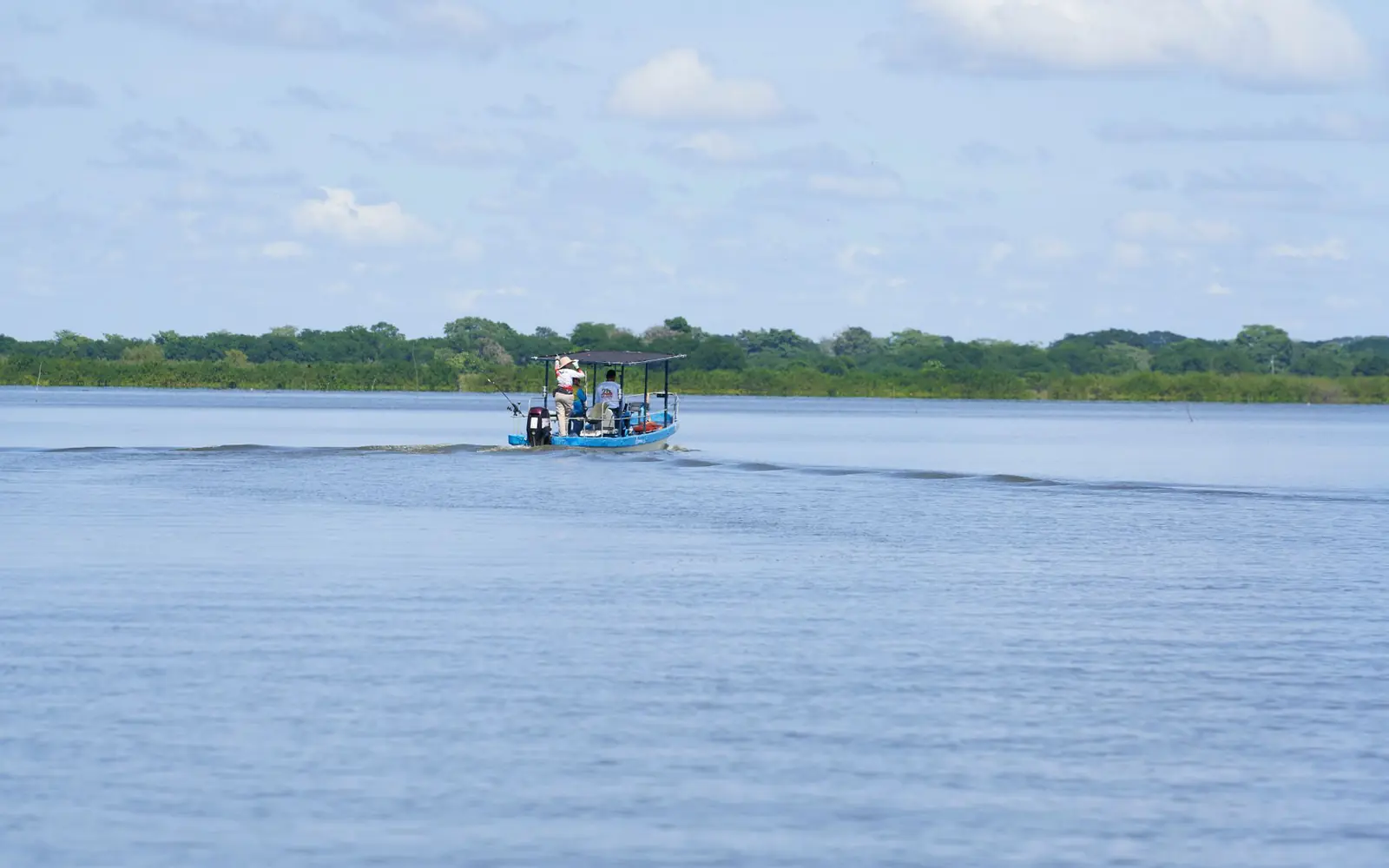 7-Day Southern Circuit Safari: Nyerere & Ruaha