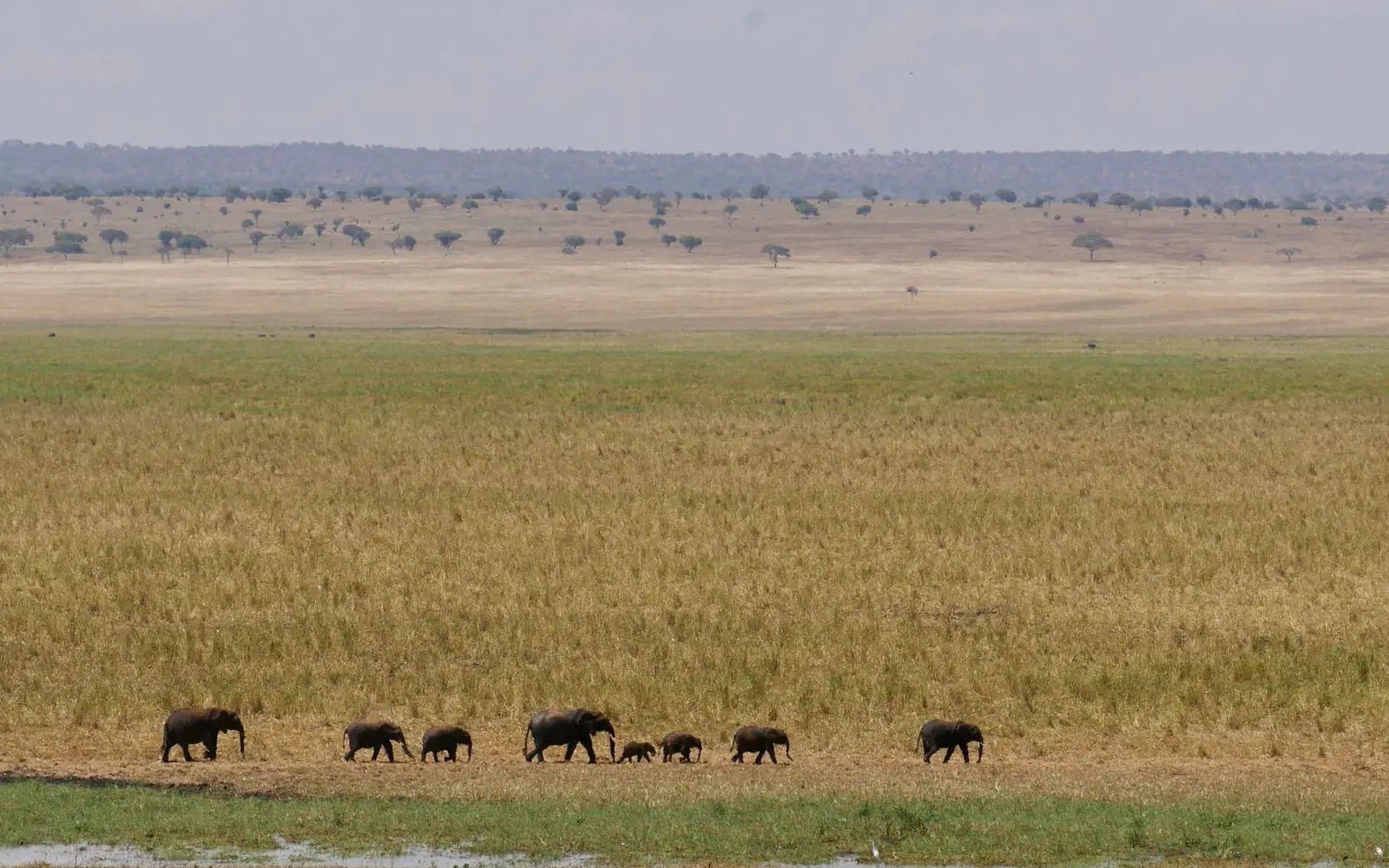 4-Day Tarangire, Manyara & Ngorongoro Safari