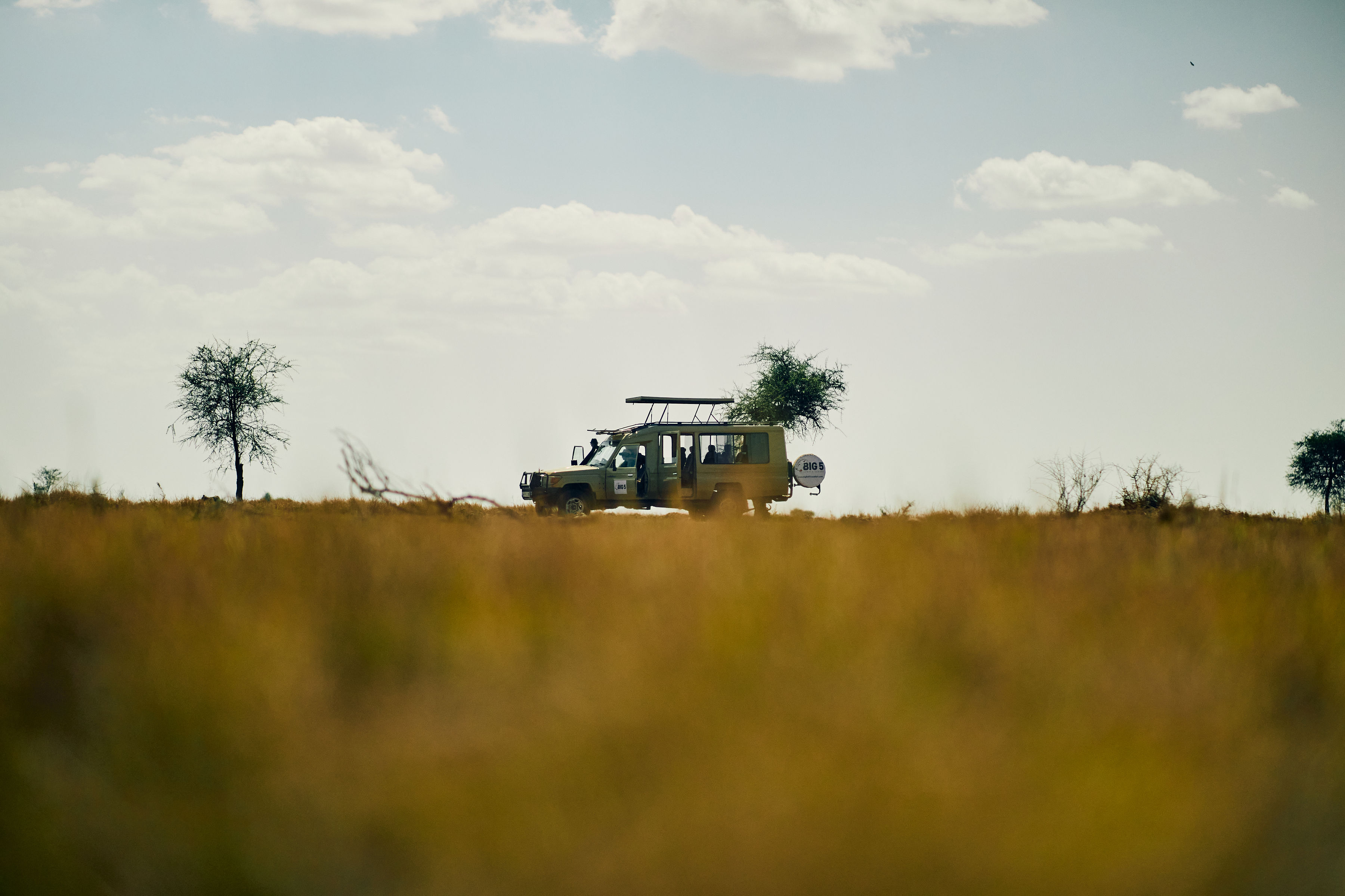 Serengeti National Park — photo 11
