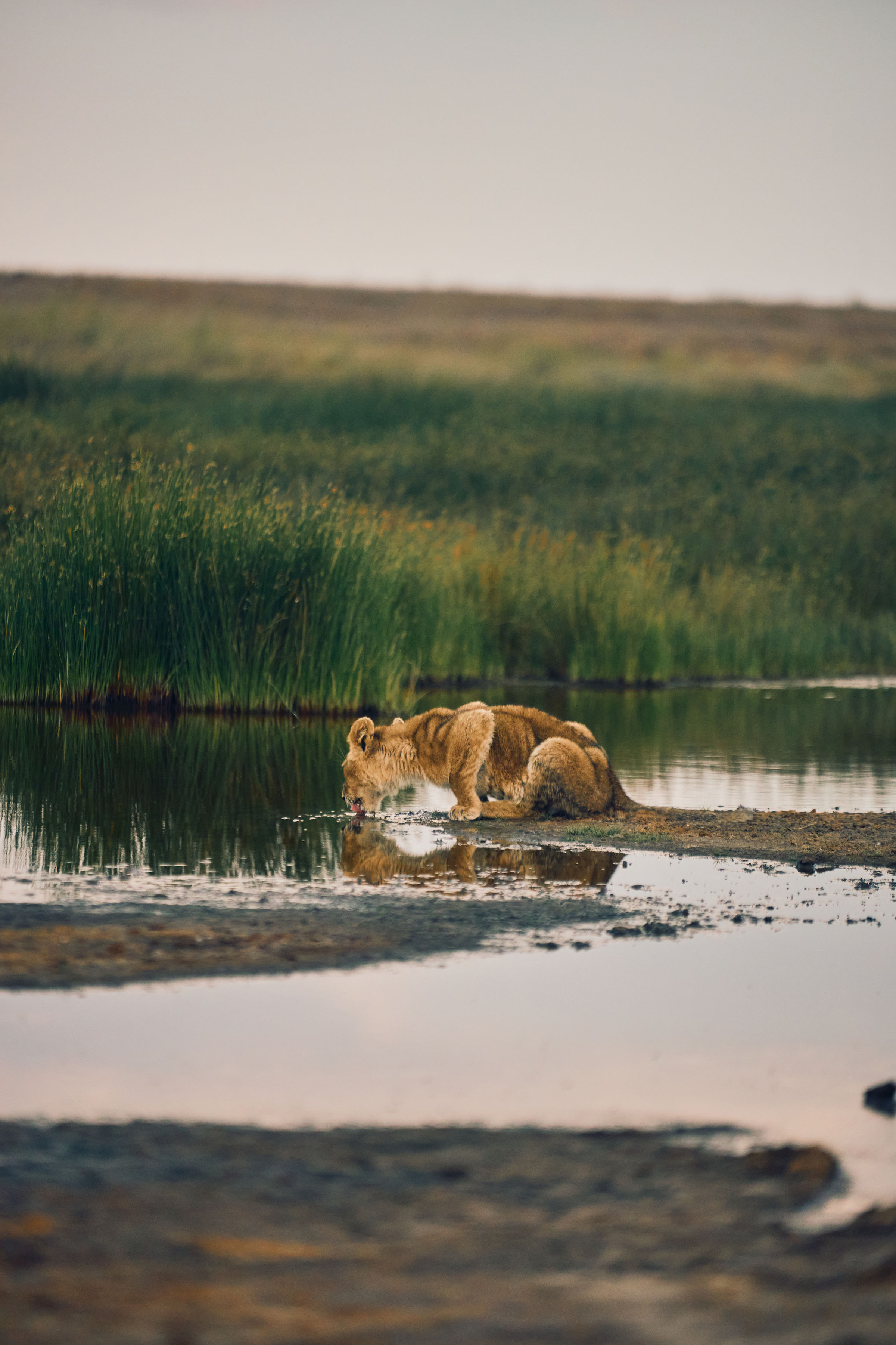Serengeti National Park — photo 3