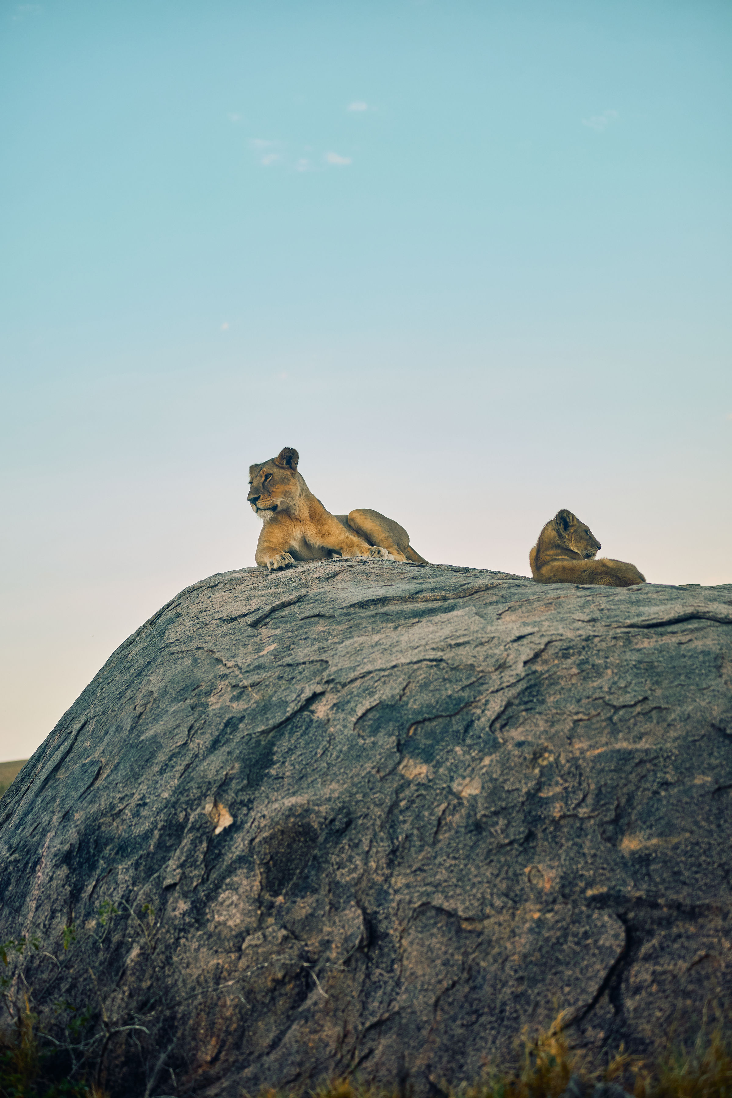 Serengeti National Park — photo 4
