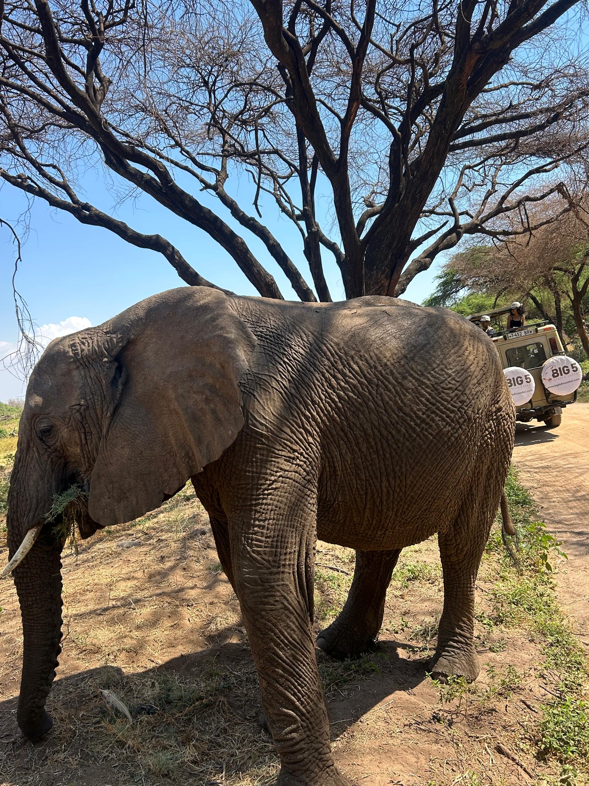 Lake Manyara National Park — photo 1